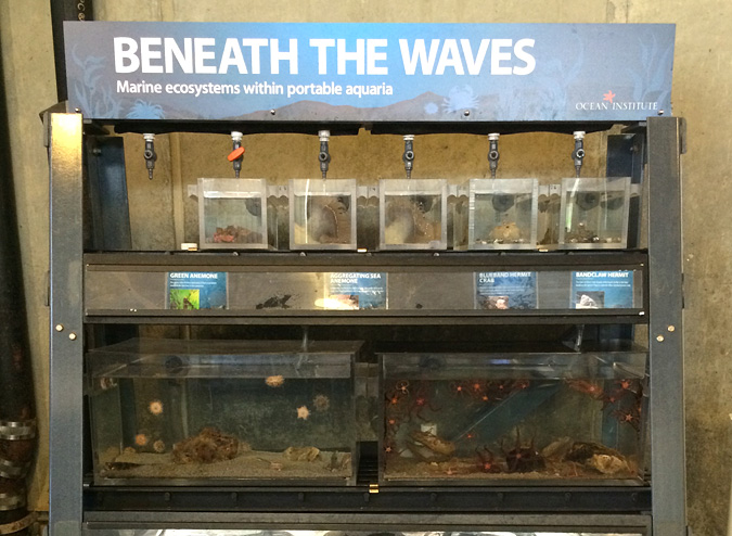 Ocean Institute fish tanks