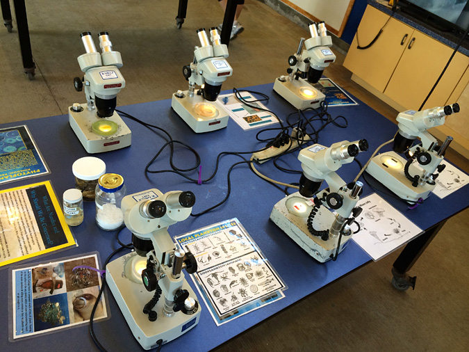 Ocean Institute microscopes