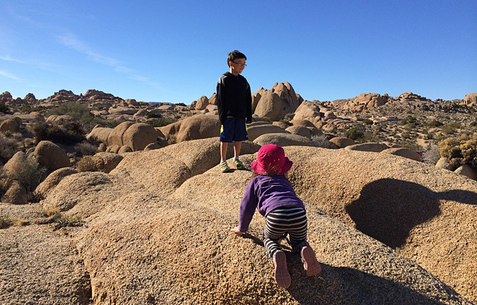 Joshua Tree National Park Day Trip