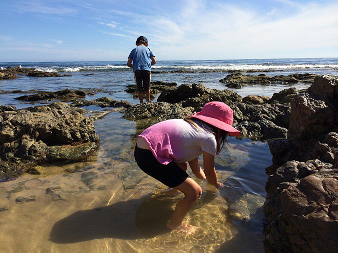 Kids exploring the Crystal Cove tide pools