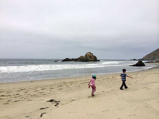 Get to Pfeiffer Beach State Park early in the day before the wind picks up