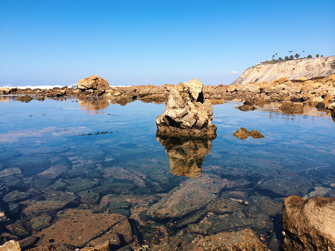 At low tide, there are tide pools near the wreck, but sea life in the exposed intertidal is sparse